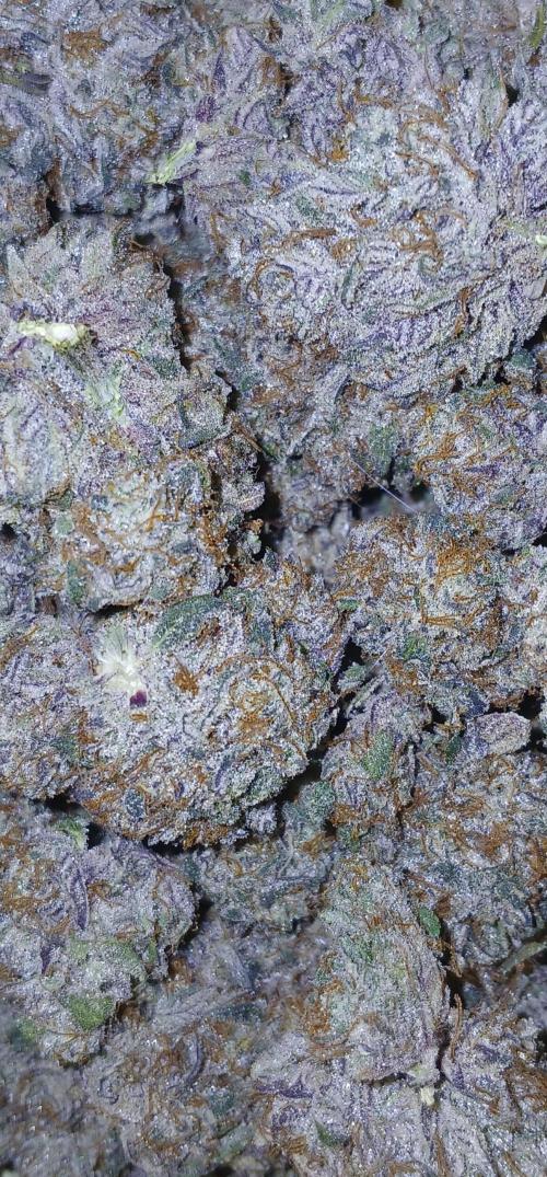 Limeade Oreoz. Week 11