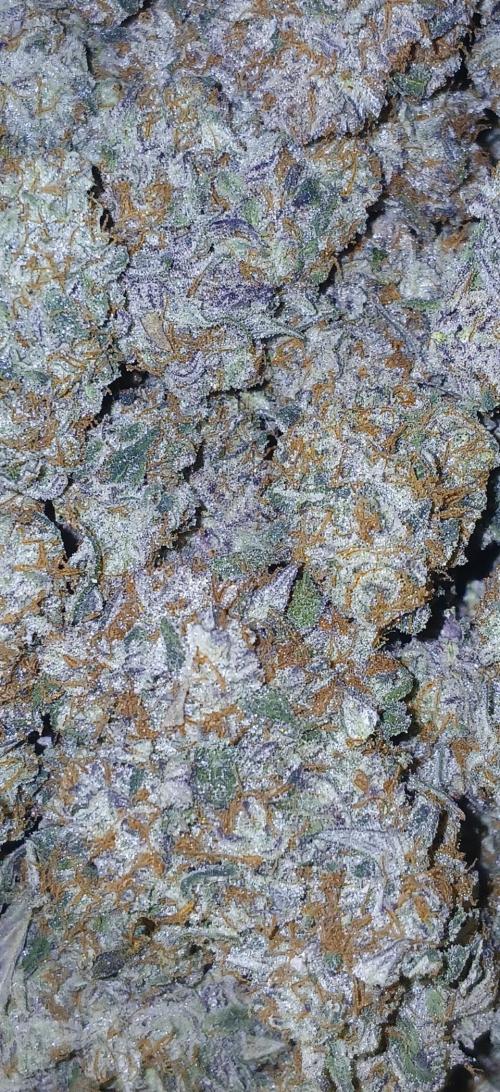 Blueberry Pie Oreoz. Week 13