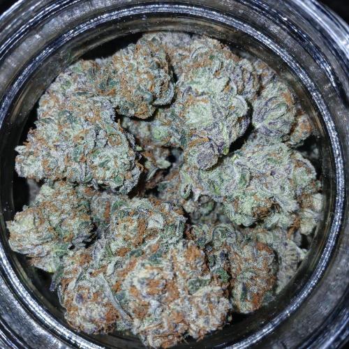 Blue Pie O'z. Week 13 - Halfway through cure