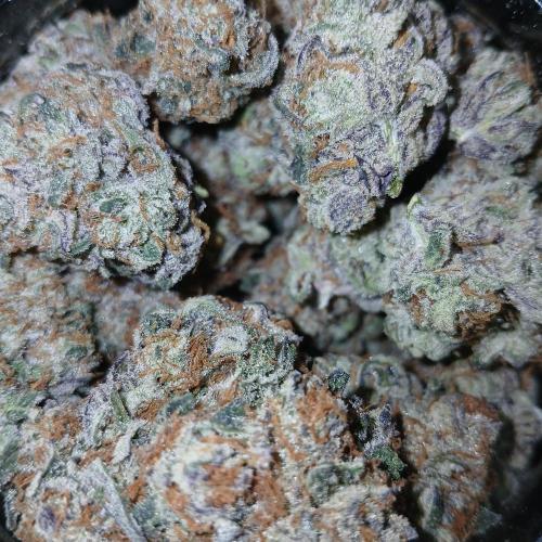 Blue Pie O'z. Week 13