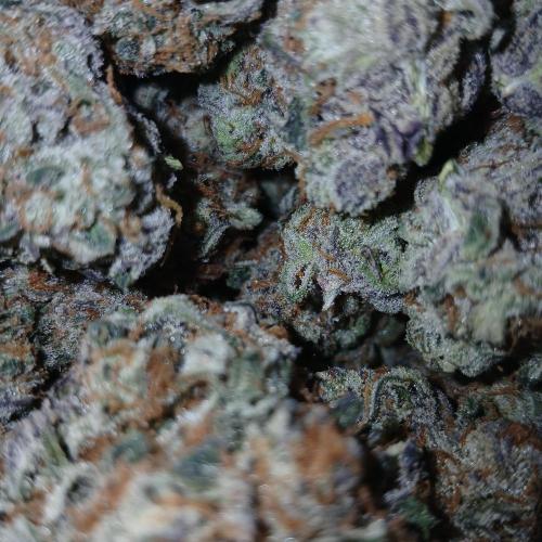 Blueberry Pie Oreoz. Week 13