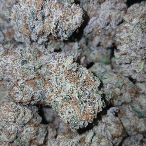 Limeade Oreoz. Week 11