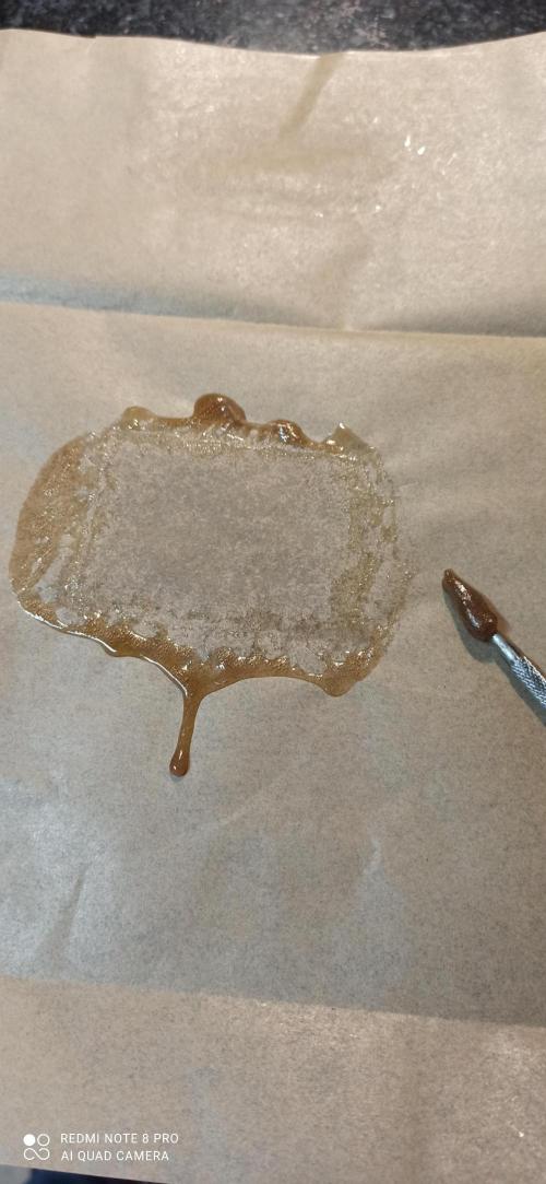 2° ronda con anesia seeds. Week 7