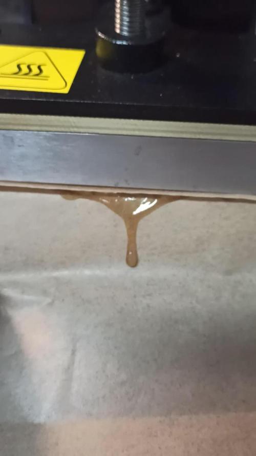 2° ronda con anesia seeds