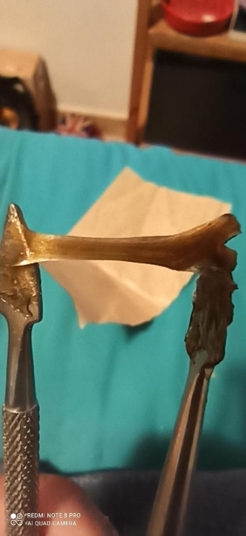 2° ronda con anesia seeds. Week 7