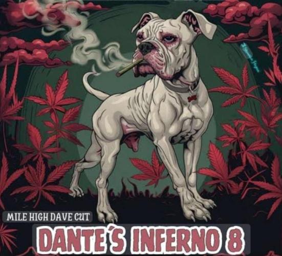 Dantes Inferno#8 MHD-Cut. Week 3