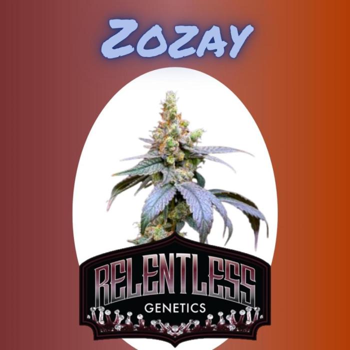Zozay~Relentless Genetics. Week 3