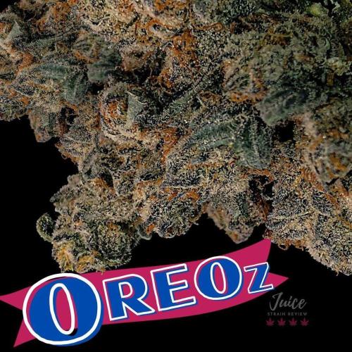 Oreoz Steckling. Week 3