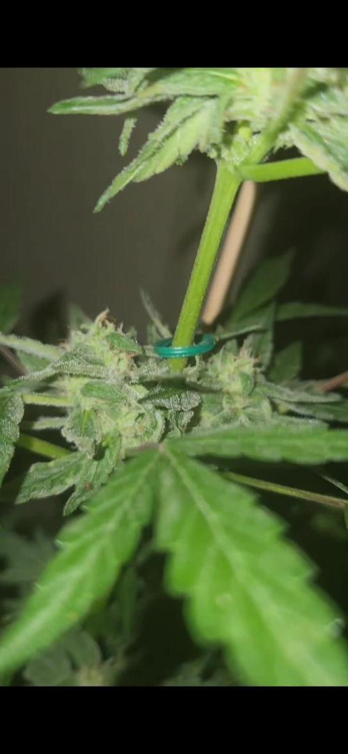 2025 Summer/Fall Outdoor