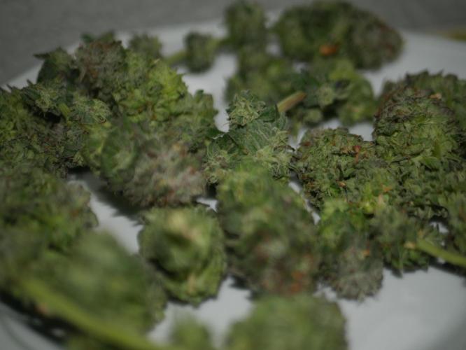 2st 2025 Grow. Week 14