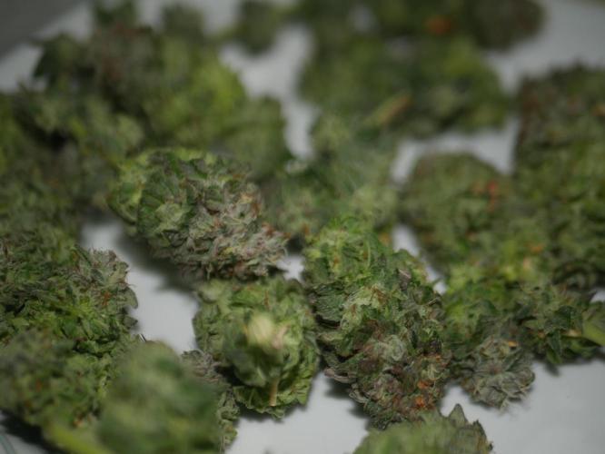 2st 2025 Grow. Week 14