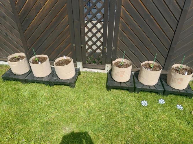 Outdoor Season 2026. Week 2 - new permanent home on May 24