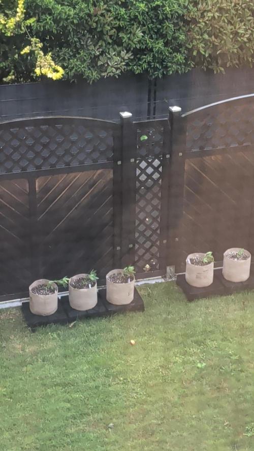 Outdoor Season 2026. Week 4 - horrible storm on Wednesday June 03