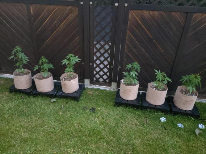 Outdoor Season 2026. Week 5 - June 14