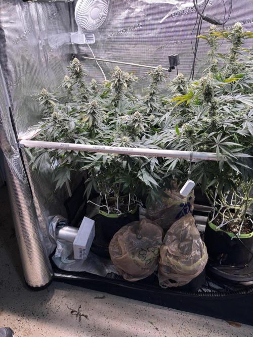 North Thunderfuck. Week 13