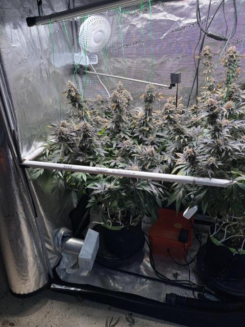 North Thunderfuck. Week 16