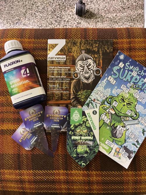 Sticky Broccoli Auto - Eternity Grow Cup. Week 0