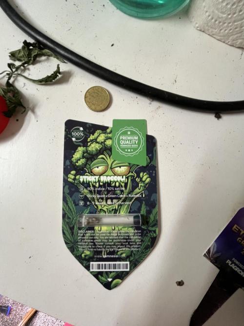 Sticky Broccoli Auto - Eternity Grow Cup. Week 0