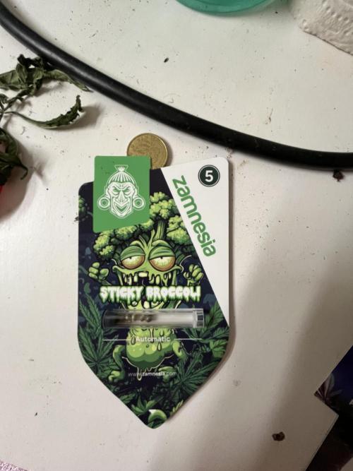 Sticky Broccoli Auto - Eternity Grow Cup. Week 0