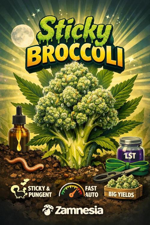 Sticky Broccoli Auto - Eternity Grow Cup. Week 1