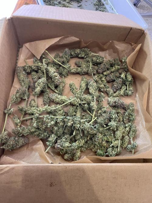 More dessert?. Week 16