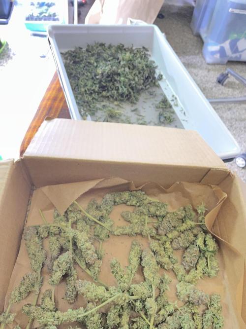 More dessert?. Week 16