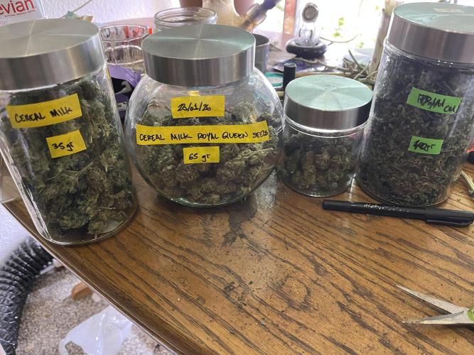 More dessert?. Week 16