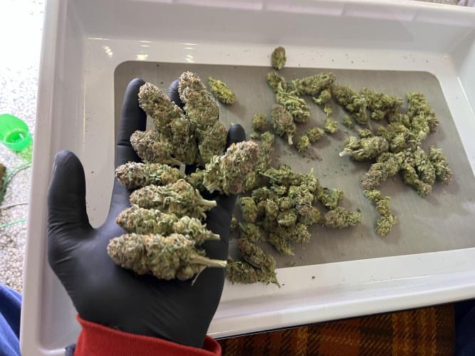 More dessert?. Week 16