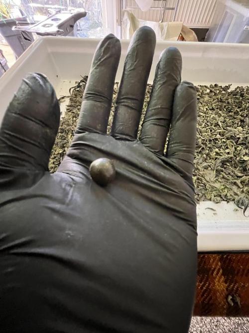 More dessert?. Week 16