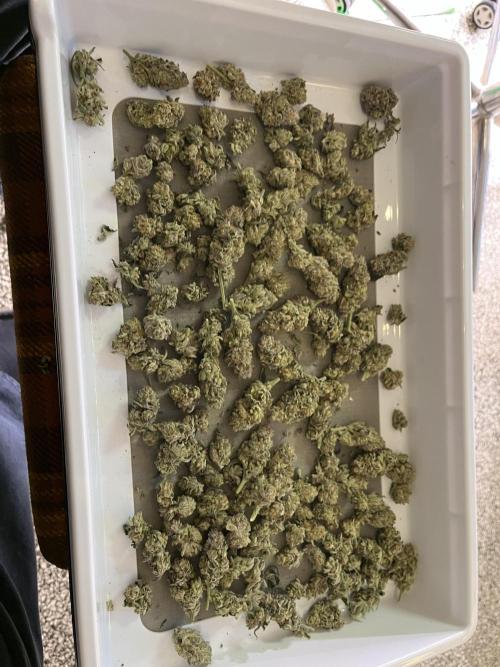 More dessert?. Week 16