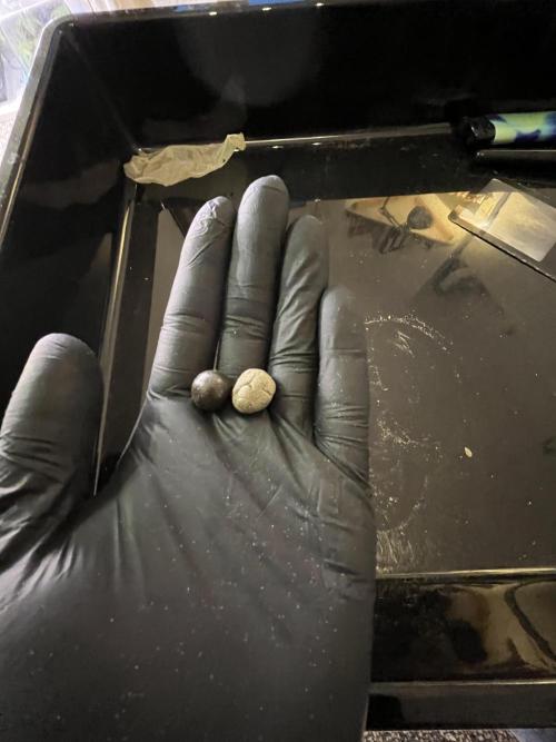 More dessert?. Week 16