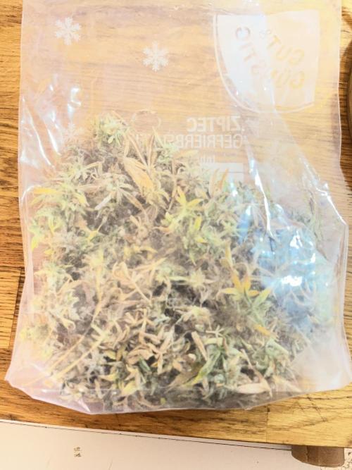 Auto Black Opium - Divine Seeds Contest. Week 19