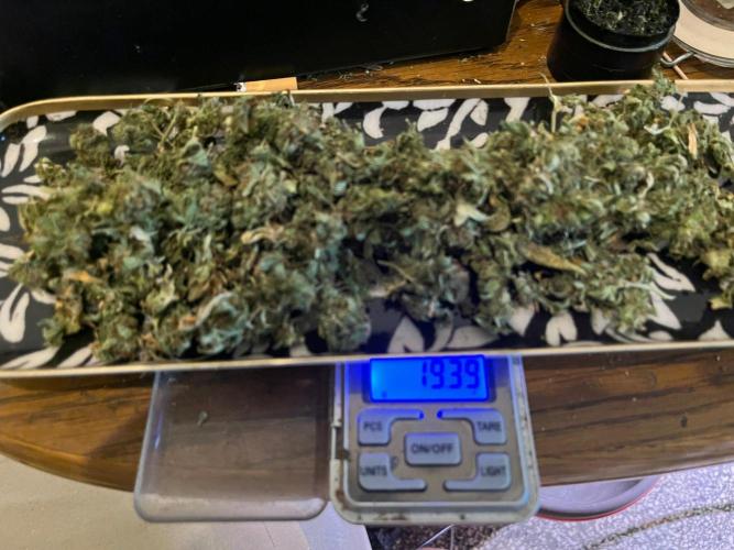 MK-Ultra Kush & Biscotti Mintz. Week 10