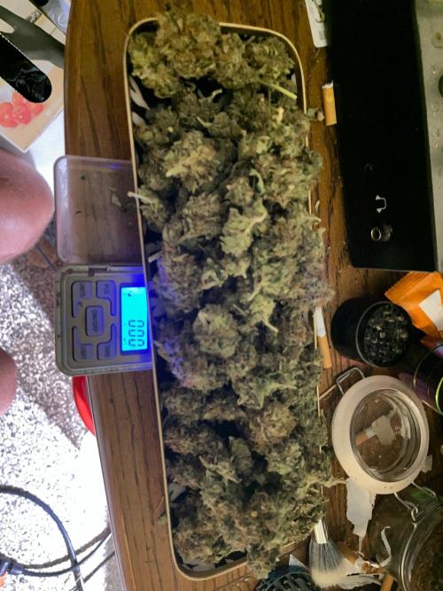 MK-Ultra Kush & Biscotti Mintz. Week 10