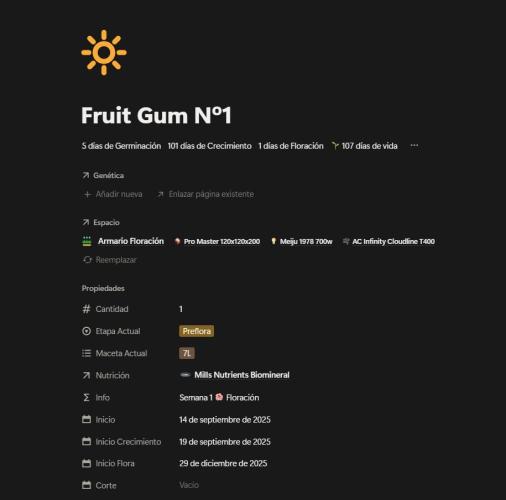 Run N1 Fruit Gum. Week 14