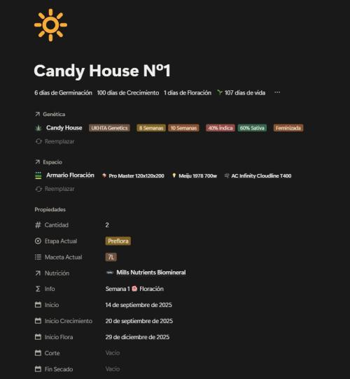 Run N1 Candy House. Week 14