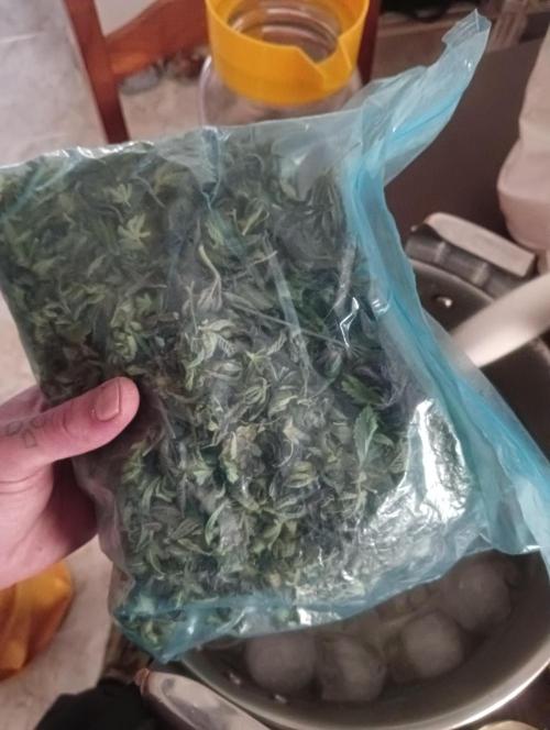 Run N2 Coffee Creamer x 50 Dragons. Week 8