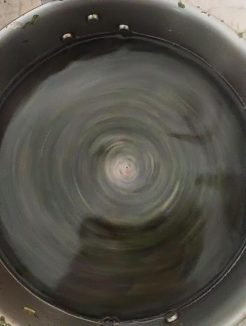 Run N2 Coffee Creamer x 50 Dragons. Week 8