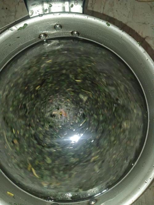 Run N2 Coffee Creamer x 50 Dragons. Week 8