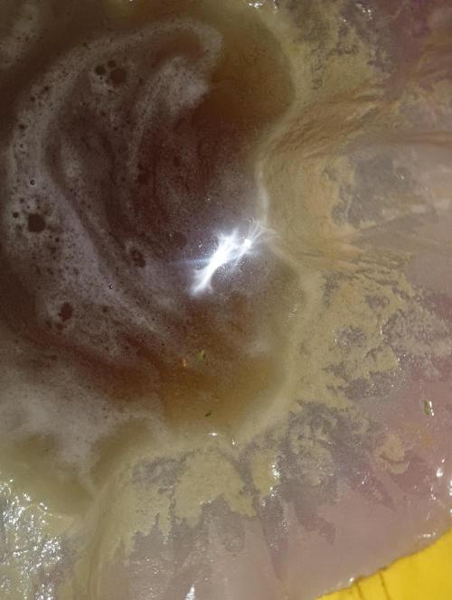 Run N2 Coffee Creamer x 50 Dragons. Week 8