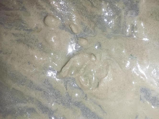 Run N2 Coffee Creamer x 50 Dragons. Week 8