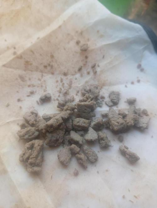 Run N2 Coffee Creamer x 50 Dragons. Week 8 - 24h despues de hacerlo