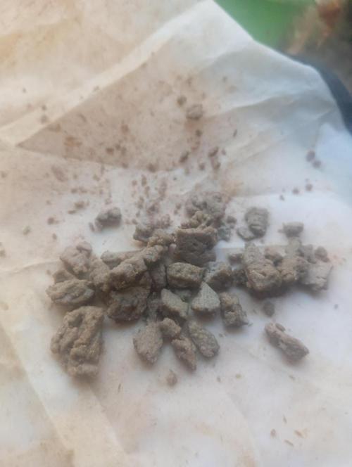 Run N2 Coffee Creamer x 50 Dragons. Week 8 - 24h despues de hacerlo24h despues de hacerlo