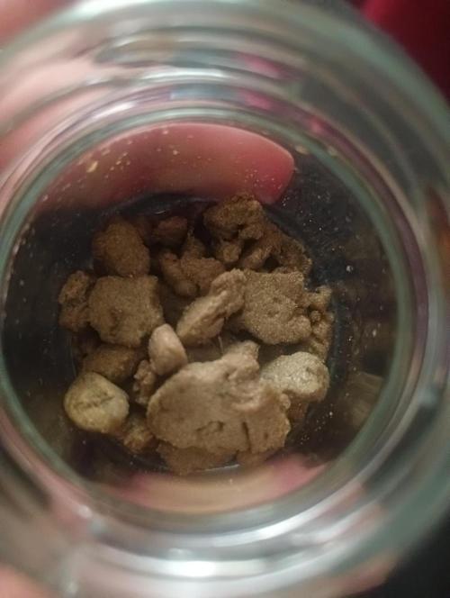 Run N2 Coffee Creamer x 50 Dragons. Week 8 - 24h despues de hacerlo