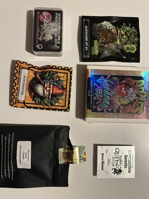 Blue Zuschi- Gnome & Sluricane- In House. Week 0