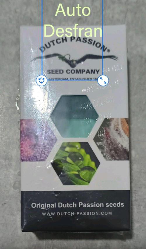 Auto Desfran (DP). Week 4 - Auto Desfran Dutch Passion