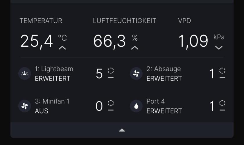 EliteFree Zone 3 Strains 1 Tent Zero Ego. Week 3