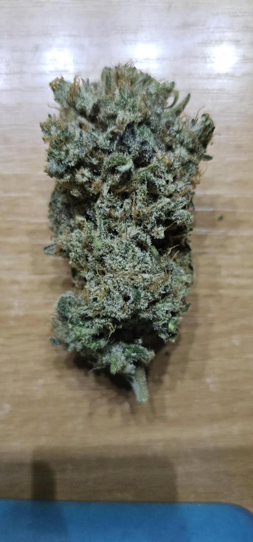 EliteFree Zone 3 Strains 1 Tent Zero Ego. Week 15 - Pineapple Express