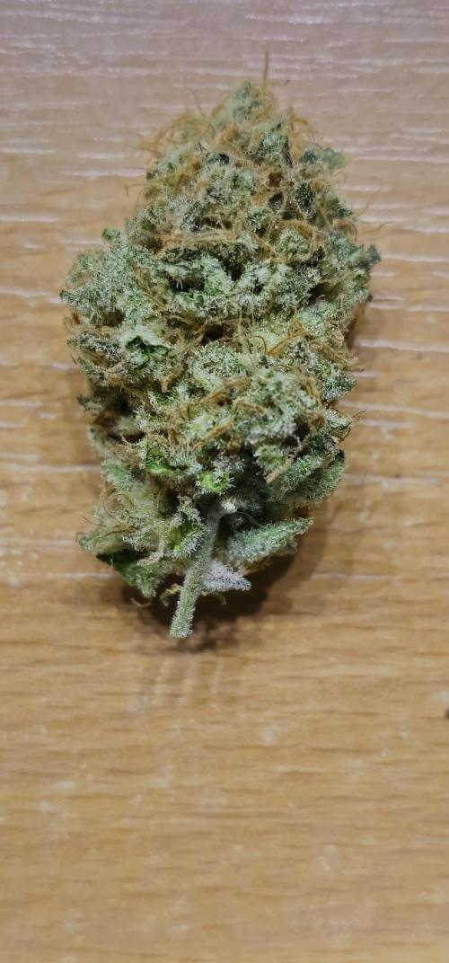 EliteFree Zone 3 Strains 1 Tent Zero Ego. Week 15 - Tripple Cheese