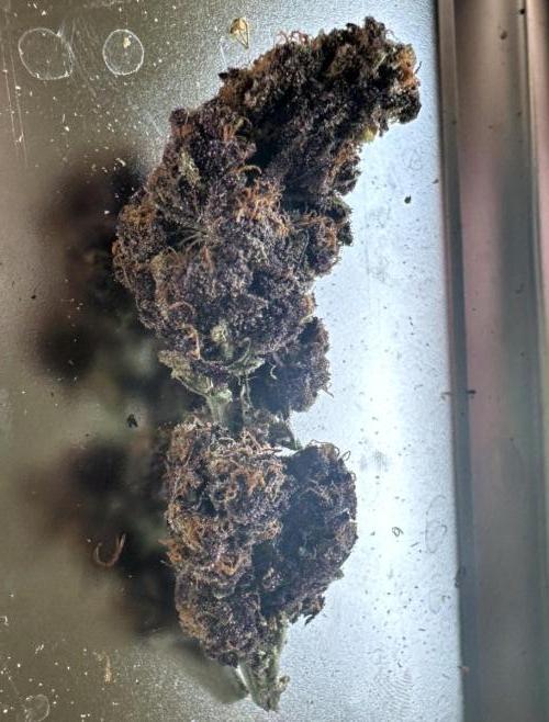 #1ST PHOTOS: SlushMintCake&SkywalkerHaze. Week 24